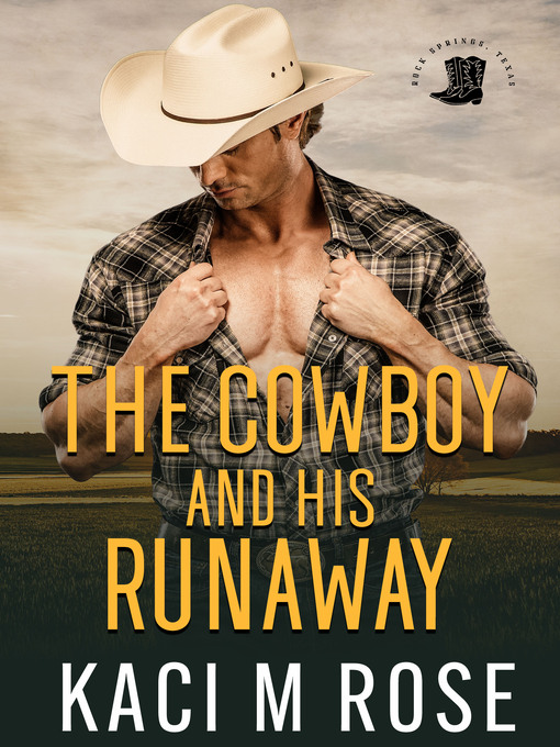 Title details for The Cowboy and His Runaway by Kaci M. Rose - Available